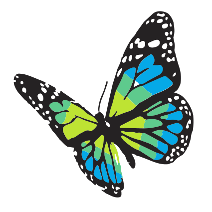 【New User】Colorful Butterfly