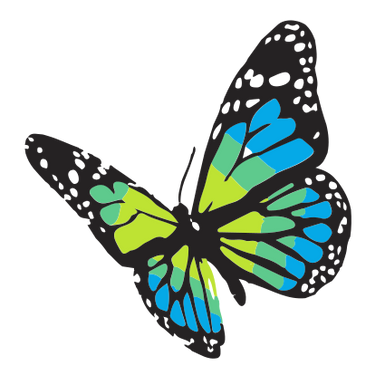 【New User】Colorful Butterfly