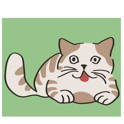 CAT 5