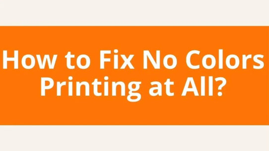 How to Fix No Colors Printing at All - D1 DTF Printer Troubleshooting
