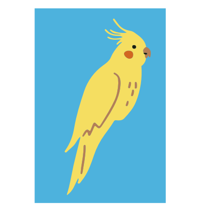 bird