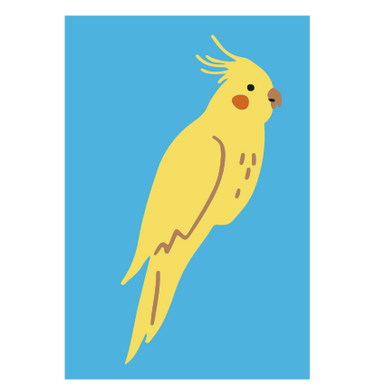 bird