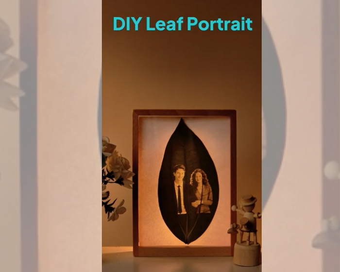 This is a cover image about Leaf Portrait.