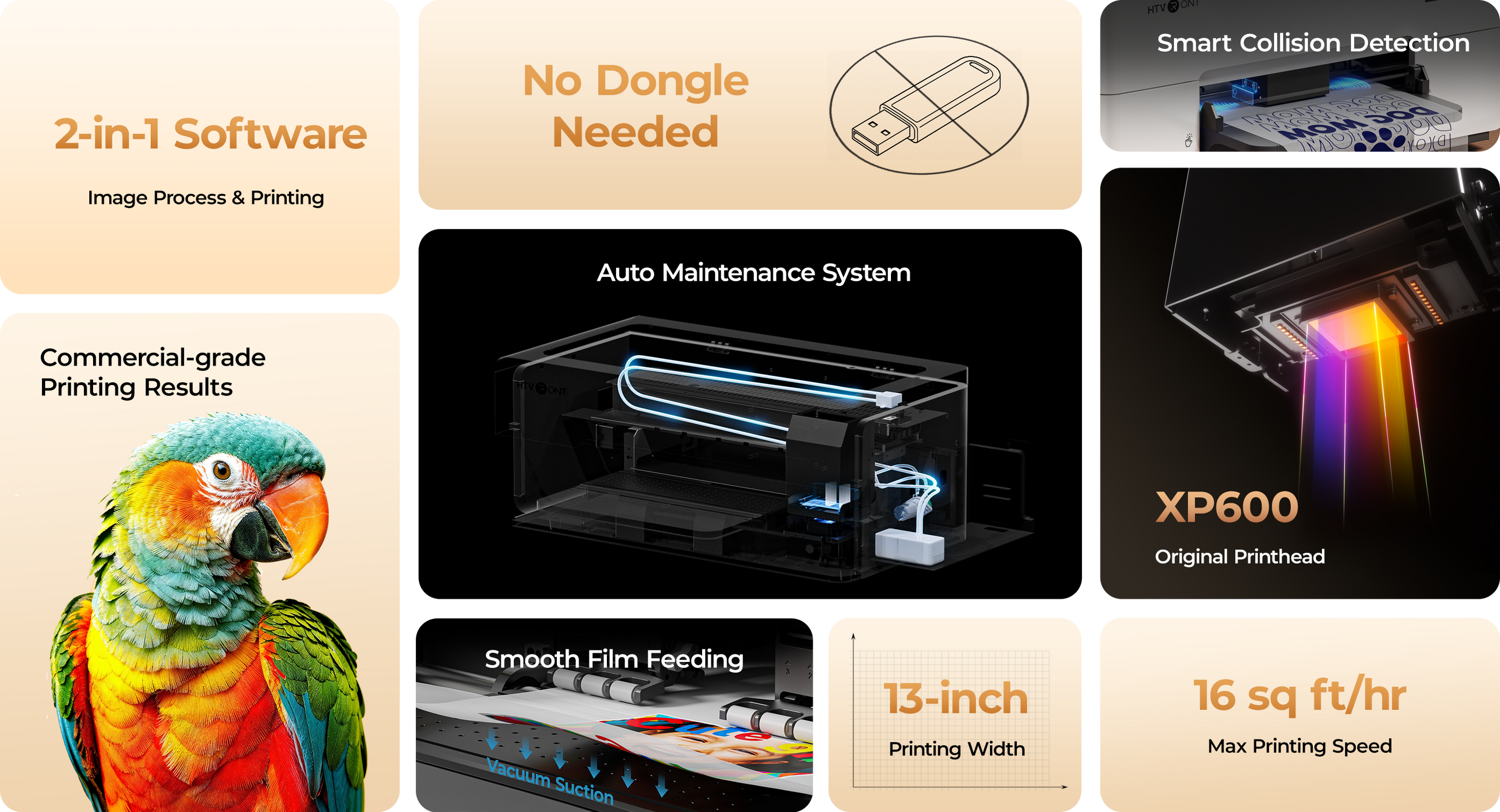 Everything You Need for Easy DTF Printing