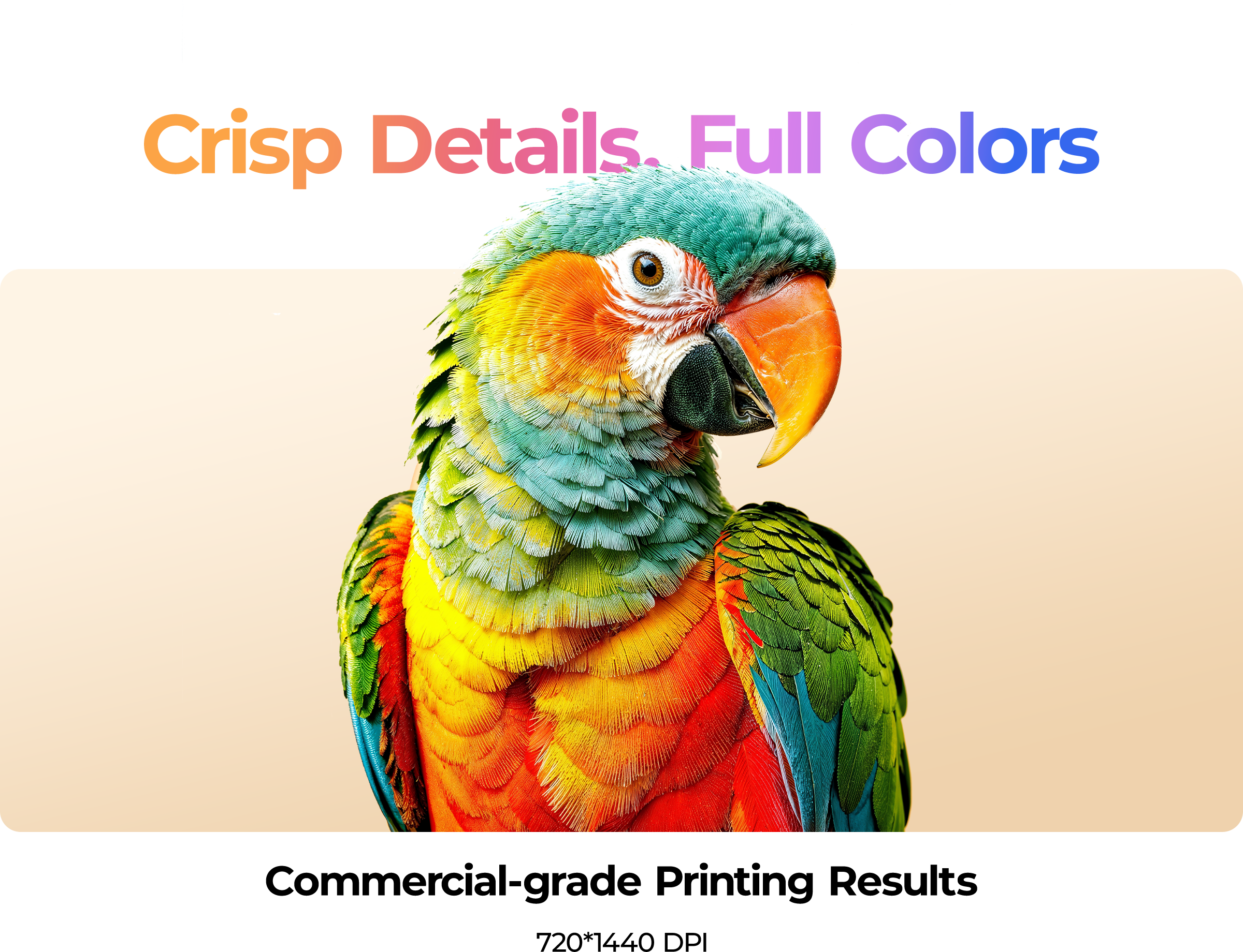 The D2 DTF Printer boasts a printing resolution of up to 720×1440 dpi, with 1,080 precision nozzles that capture every minute detail, ensuring natural and delicate color transitions.