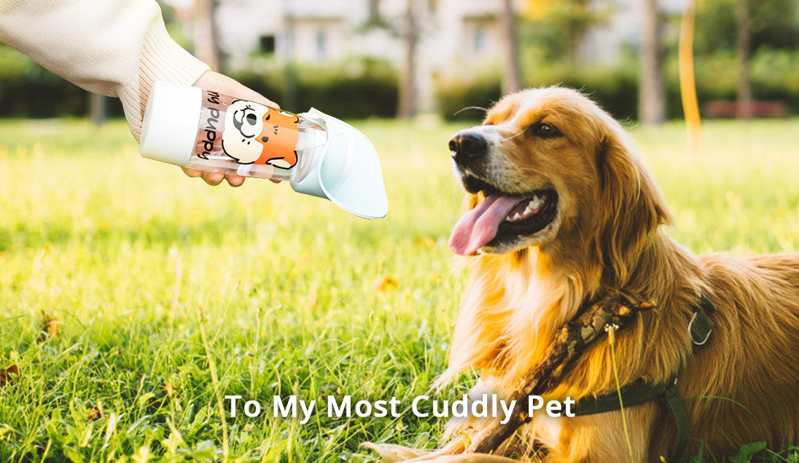 sublimation cup for pets