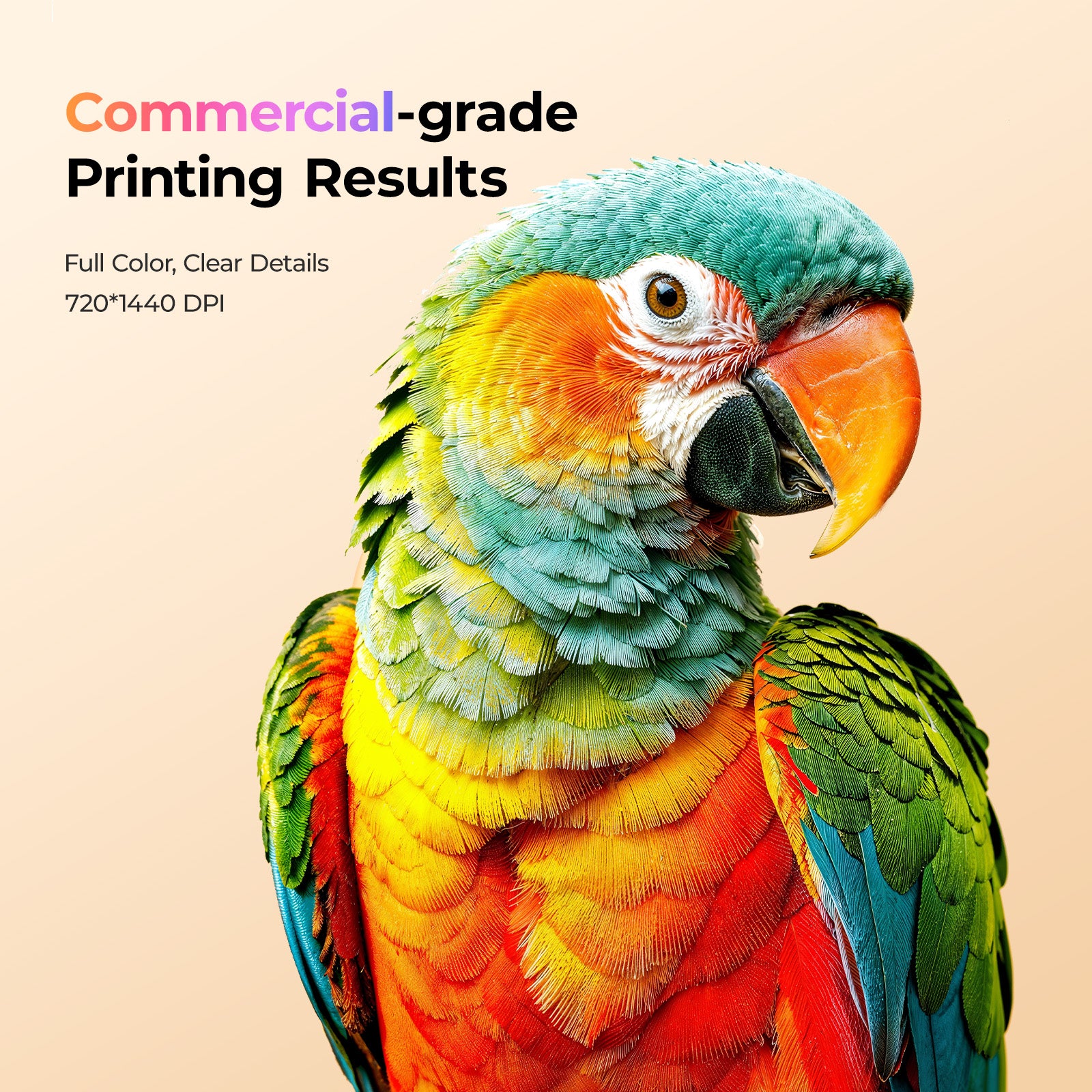 Colorful parrot with 'Commercial-grade Printing Results' text on a beige background