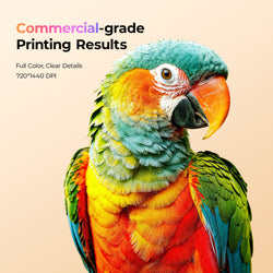 Colorful parrot with 'Commercial-grade Printing Results' text on a beige background
