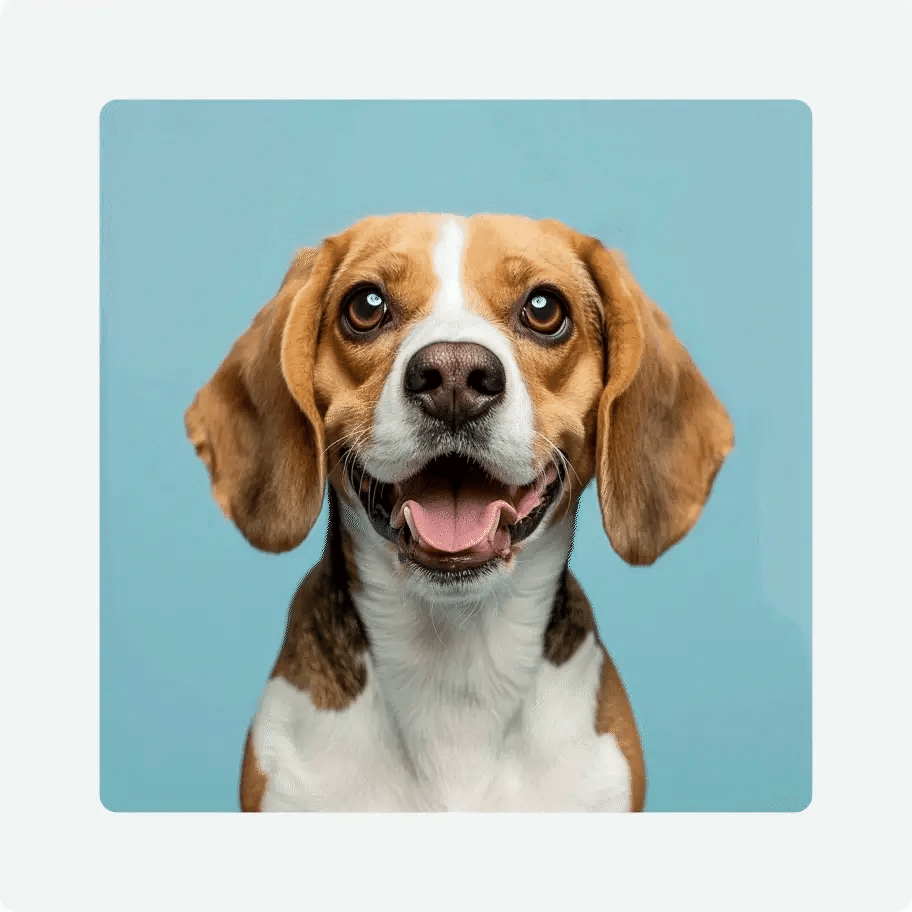 Style Transfer